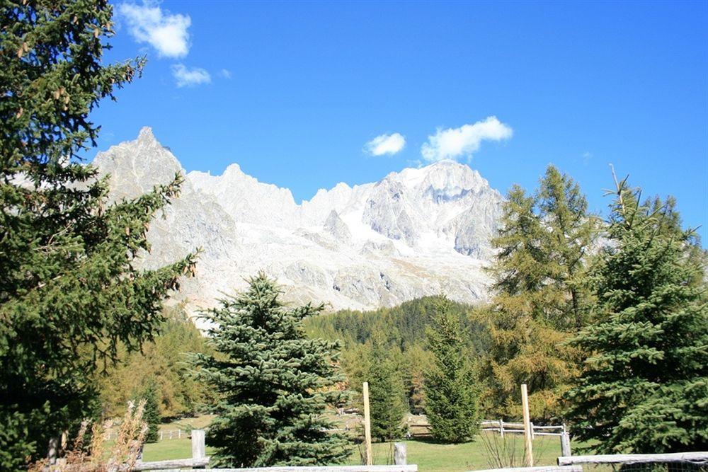 Hotel Locanda Belvedere Courmayeur Exterior photo